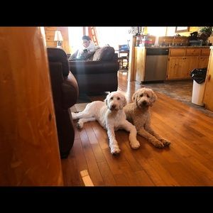 Meet your Posher, Dale